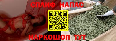 гашик Краснодар